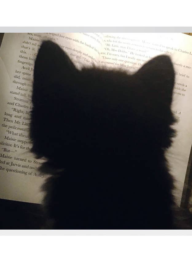 B659 - Midnight Reading for wholesale by Stonehenge Designs