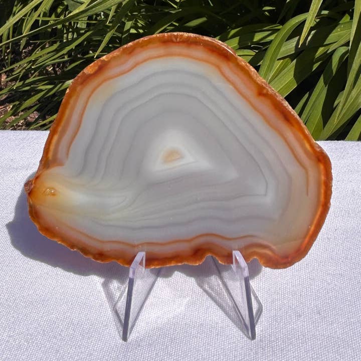 Quasar Gems USA - Wholesale Spiritual Stone/Crystal - Agate Slices Natural1