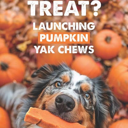 peaksNpaws - Wholesale Pet Treats - Dog - Pumpkin Yak Milk Chews - Large Sized2