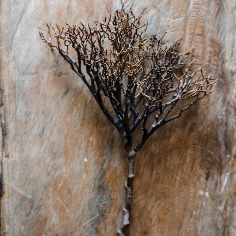 Rustic Reach - Wholesale Artificial Plant - Artificial Coral Shaped Twig Stem 14" Tall0