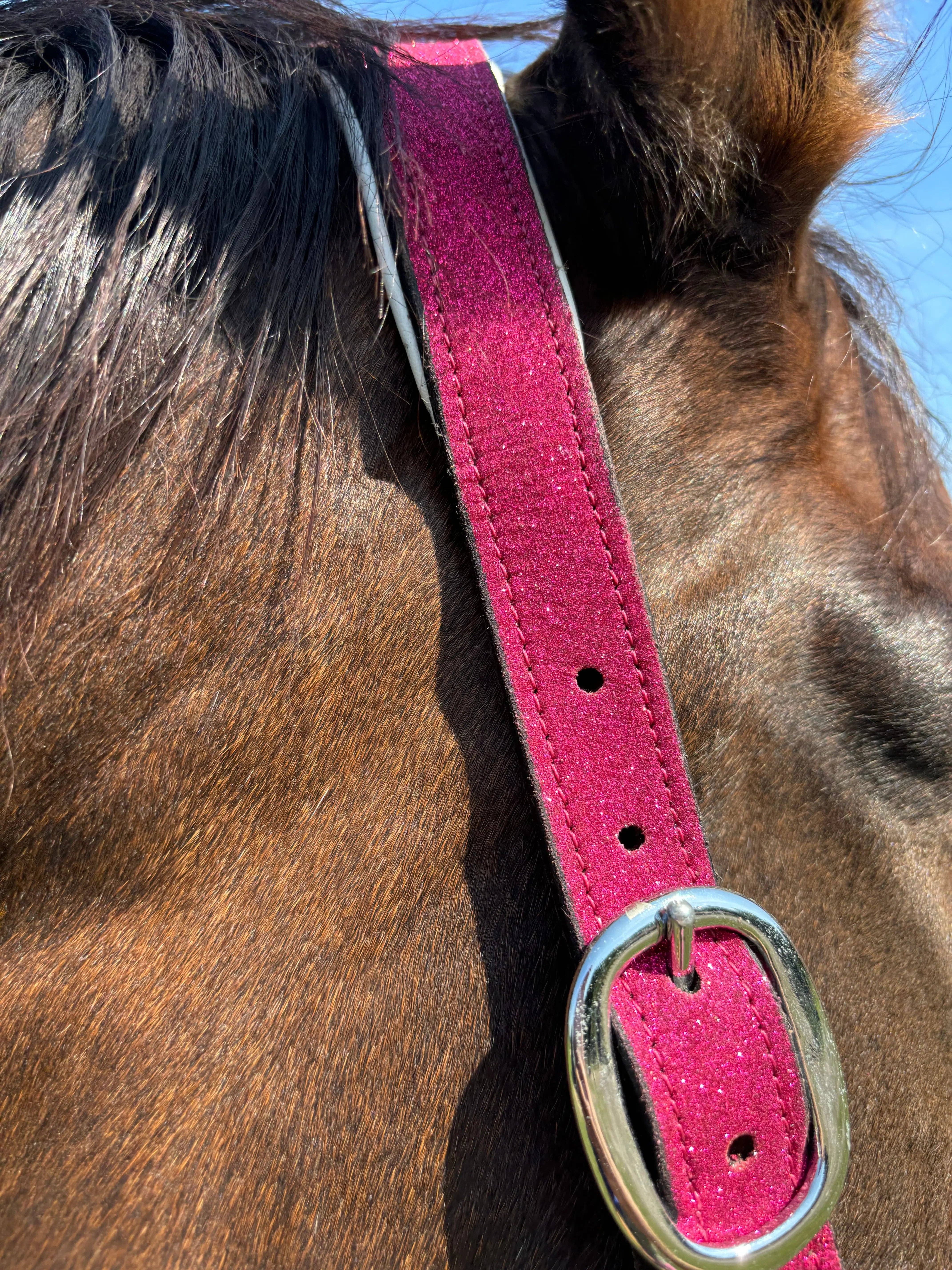 CR Harmonyequestrian - Wholesale Horseback Riding Gear - Glitter Halter braided WB2