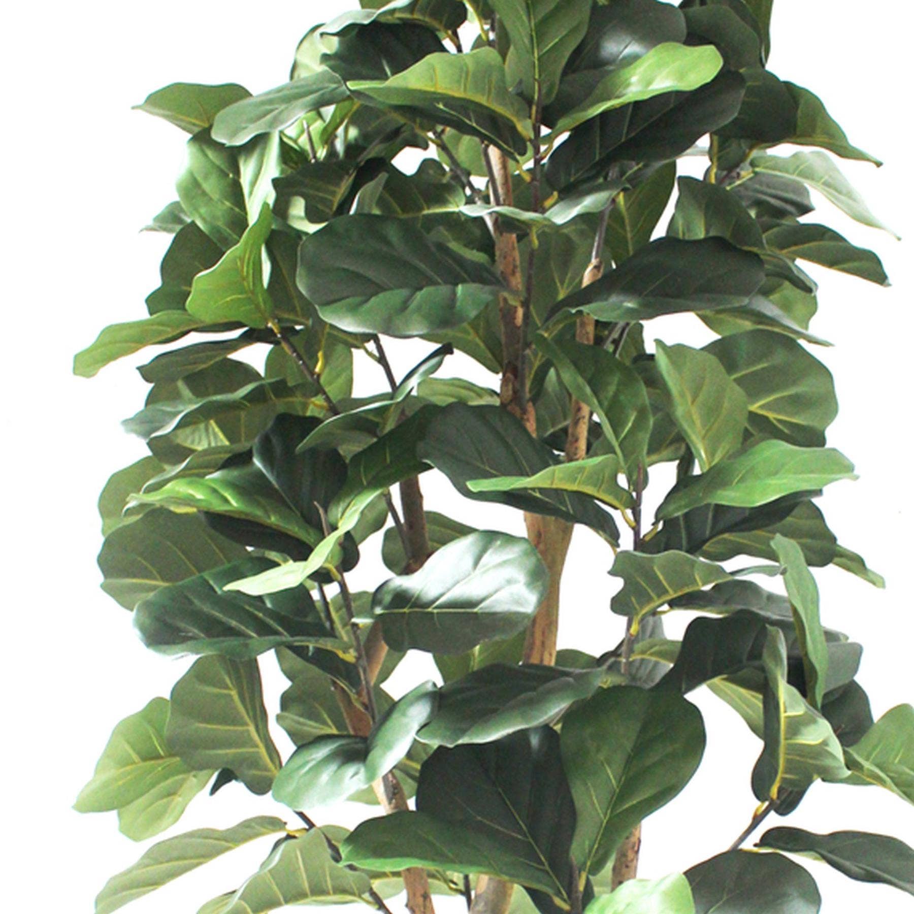 Leaf Design UK LTD - Wholesale Artificial Plant - 180cm Artificial Fiddle Fig Deluxe Tree1