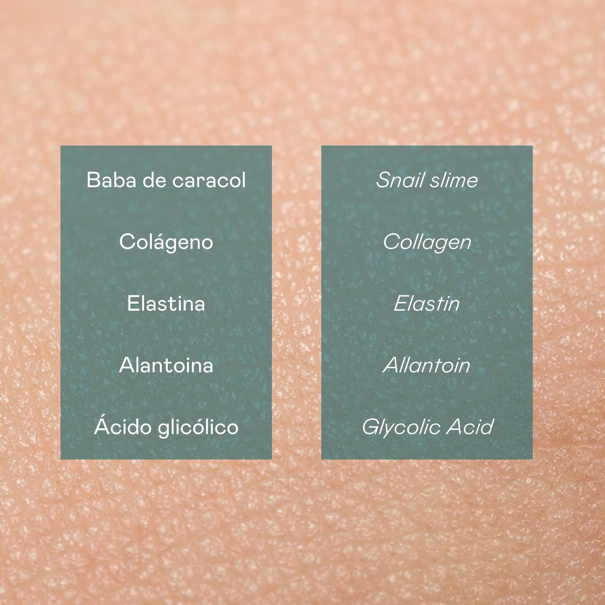 Valquer Laboratorios - Wholesale Facial Moisturizer - Baba caracol face cream - 50 ml2