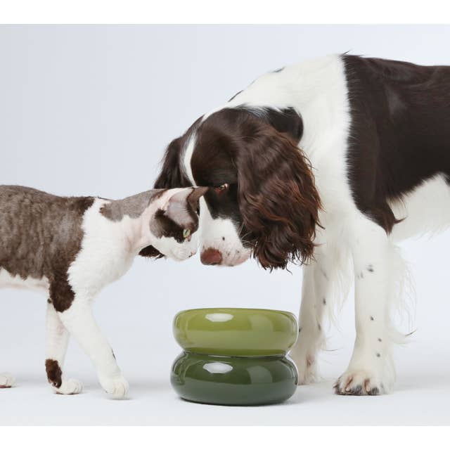 PEHOM - Wholesale Pet Bowl - Cat/Dog - Soufflé Pet Bowl - Avocado Green