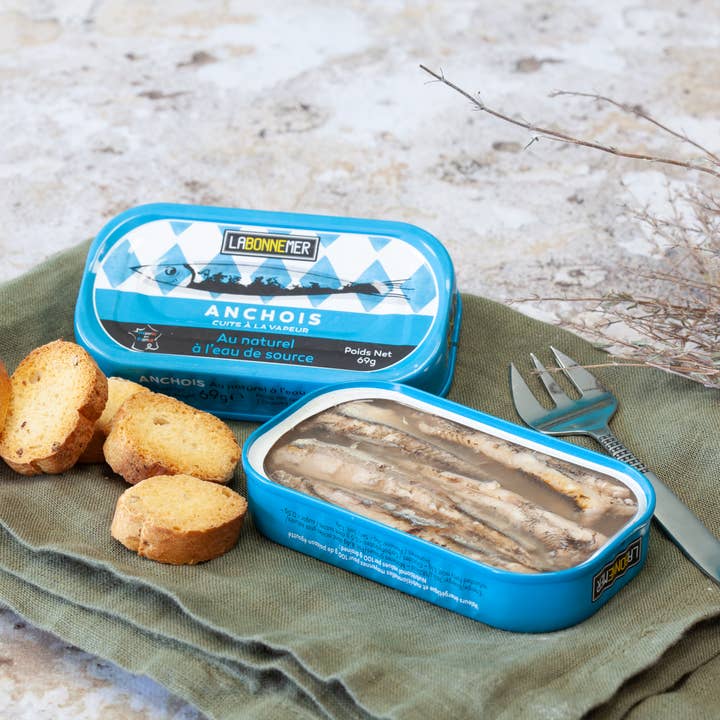 Anchovies in brine for wholesale by FERRIGNO