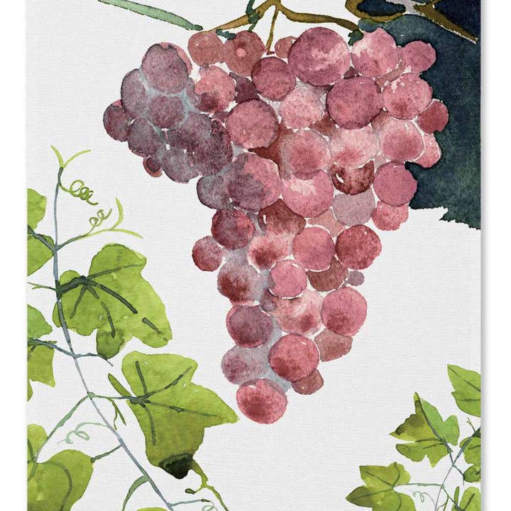 The Napking - Wholesale Tea Towel - Kitchen Towels "Grapes", 100% Made in Italy