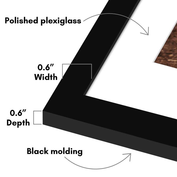 Americanflat - Wholesale Picture Frame - Americanflat 5 Pack Picture Frames With Mat Plexiglass Cover6