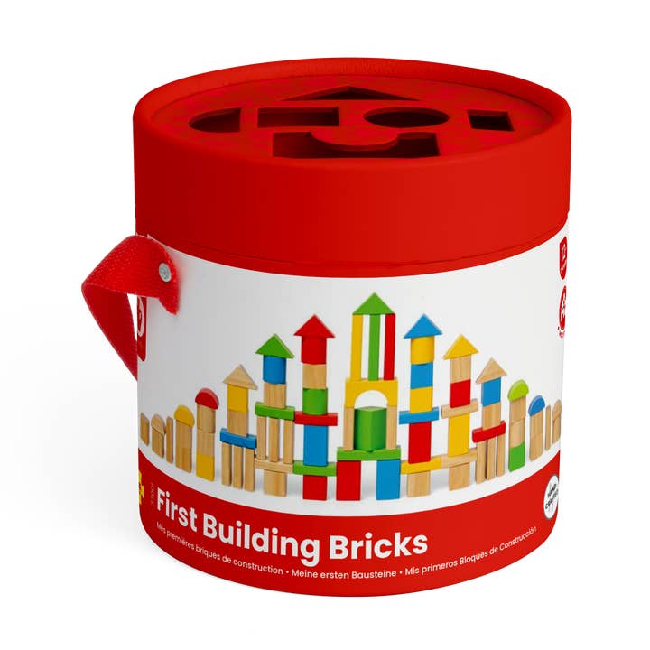 Bigjigs Toys 80 pièces de briques de construction en bois pour la vente par Bigjigs Toys