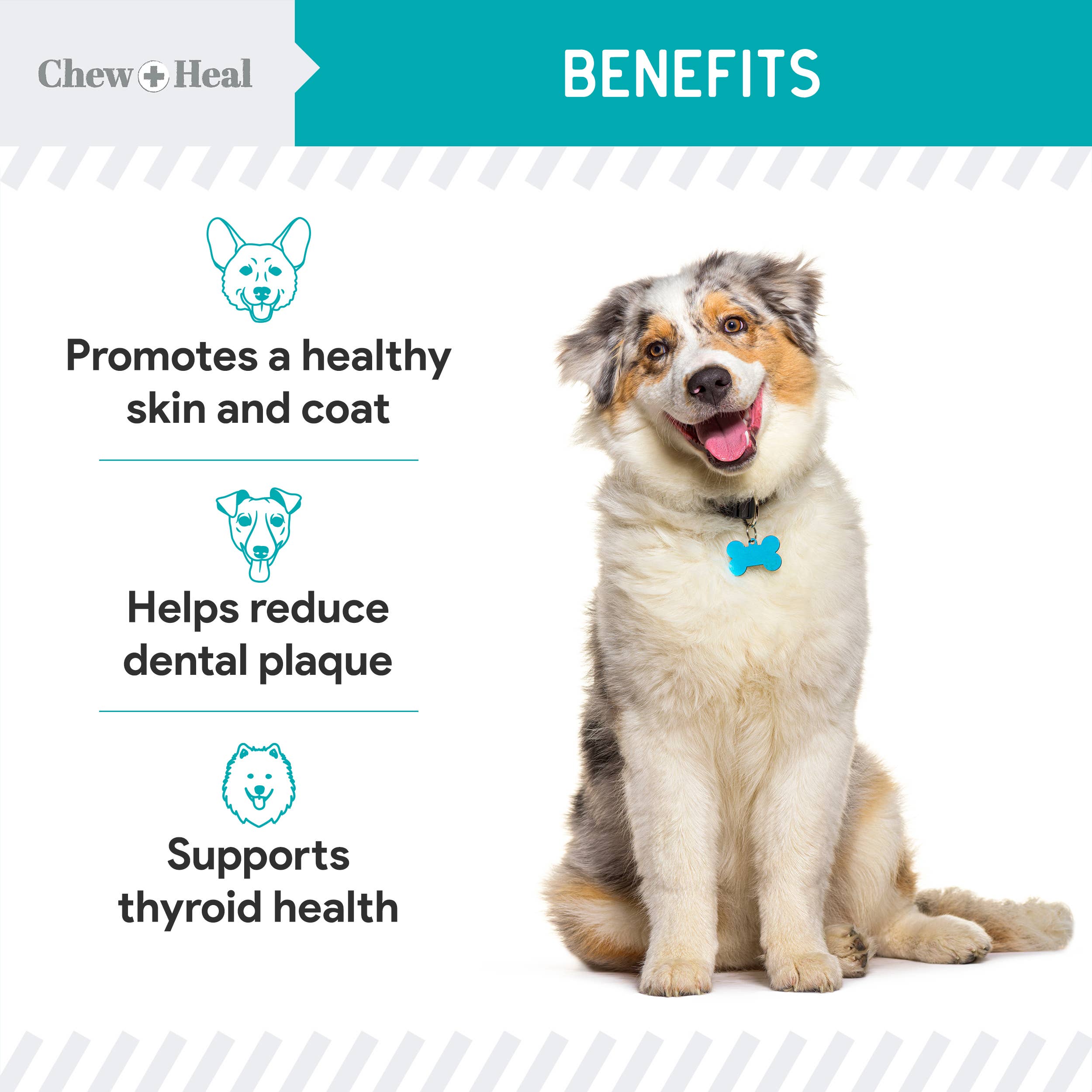 Chew + Heal – Suplemento para animais de estimação – Cão por atacado – Granulados Orgânicos de Alga Marinha Superalimento com Colher8