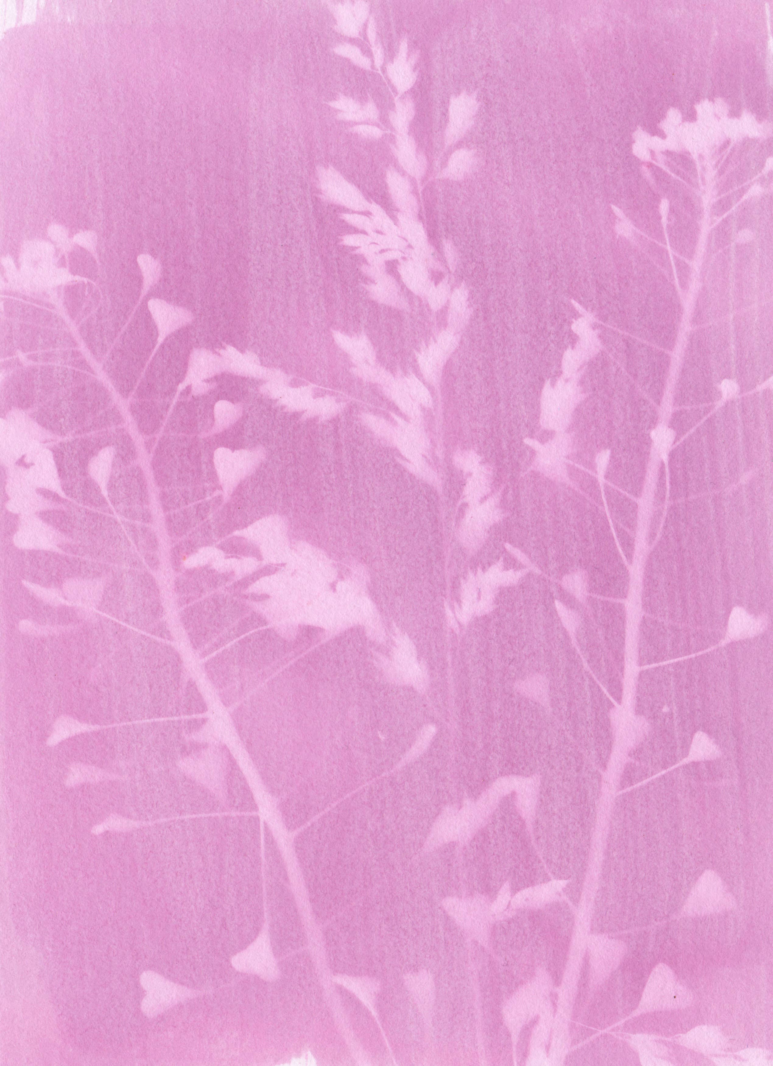 L'Atelier des Epatants - Venta al por mayor Kit de manualidades - Kit mini rosatype: como el cianotipo pero en rosa4