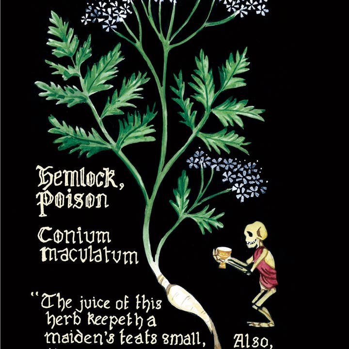 Punched Tin Press - Vente Nature et plein air - Herball de poche3