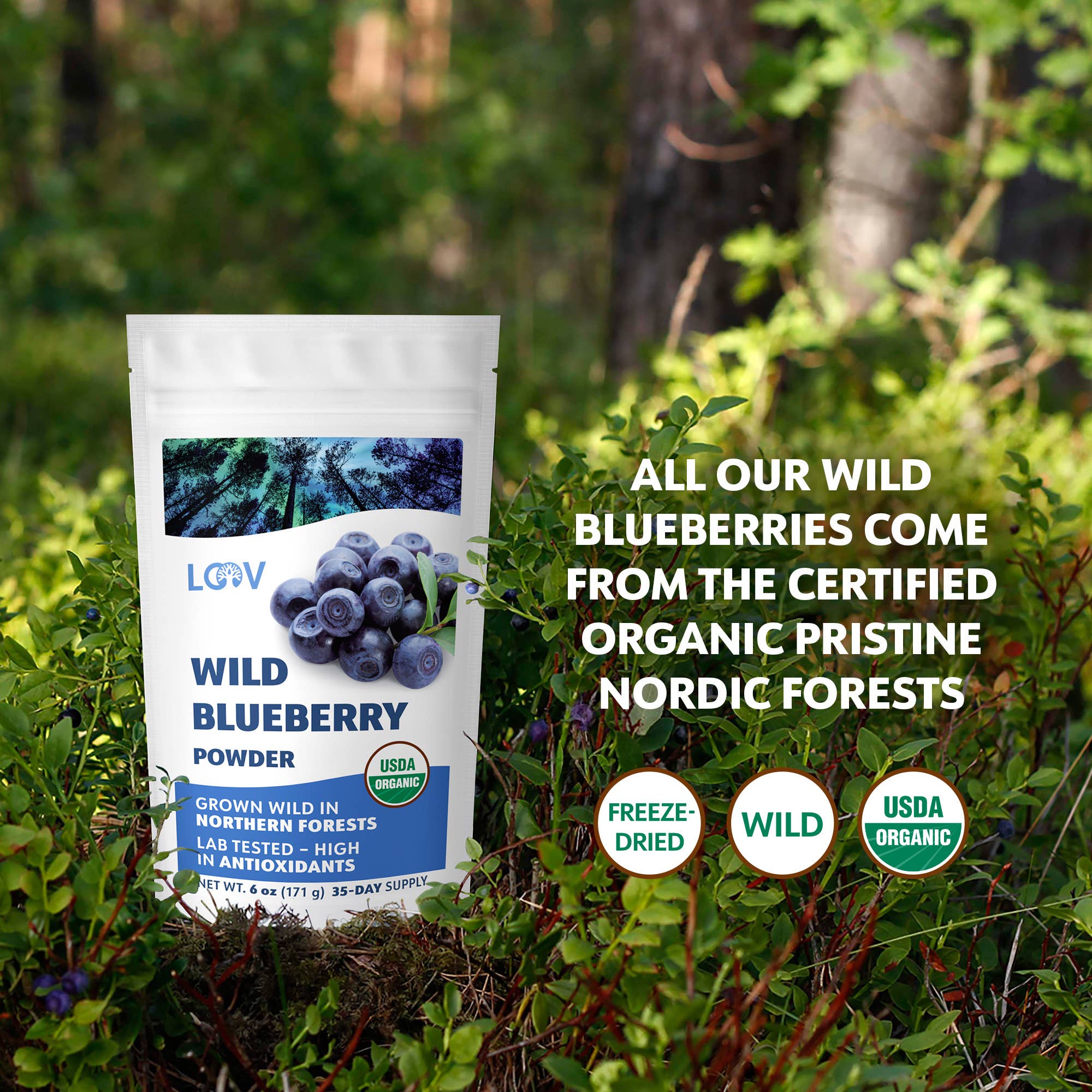 LOOV Organic Superfoods - Wholesale Protein/Superfood Powder - Freeze-Dried Organic Wild Blueberry Powder 6 oz7