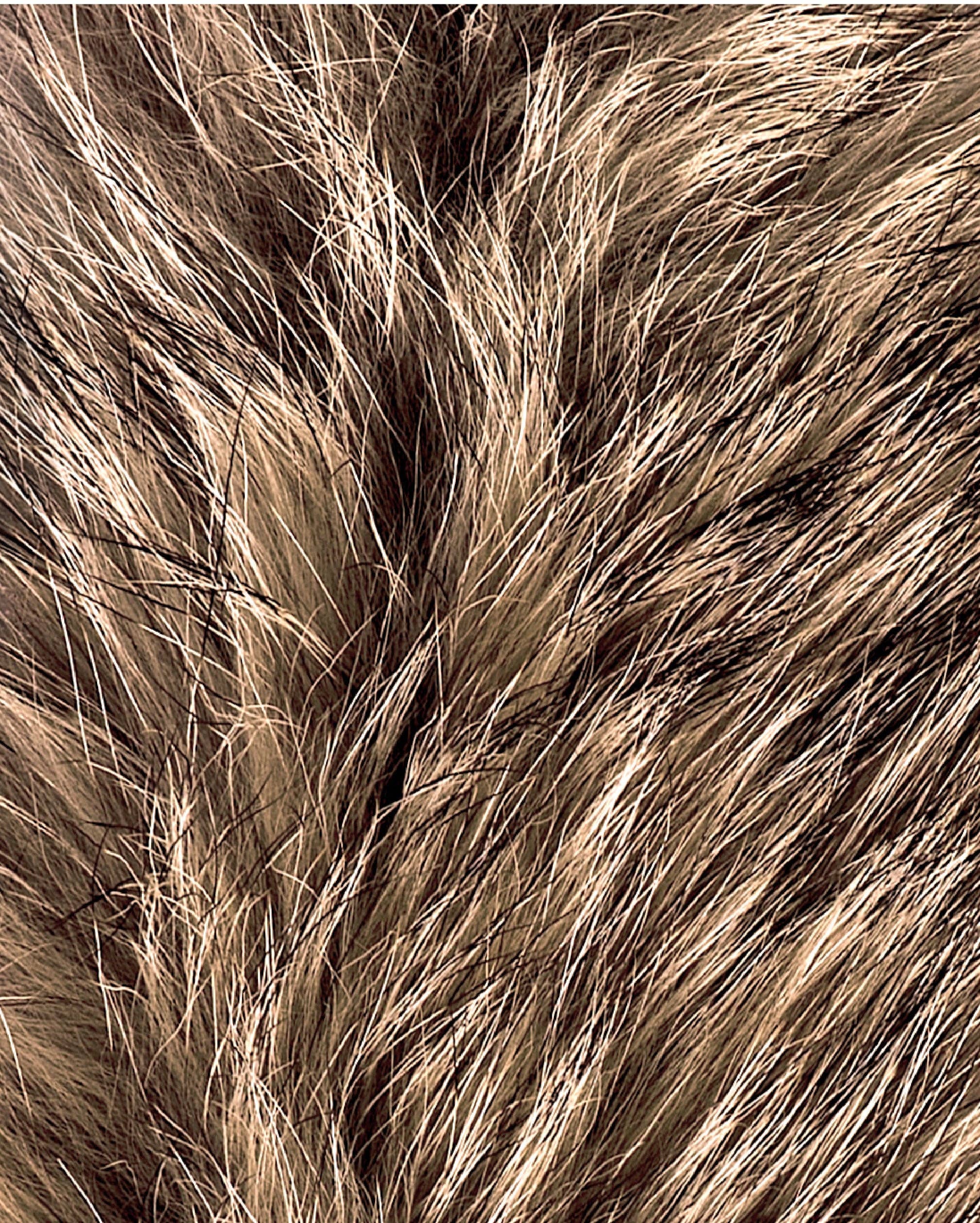 Happy Lamps - Wholesale Figurine Lamp - Rudi, the funny reindeer3