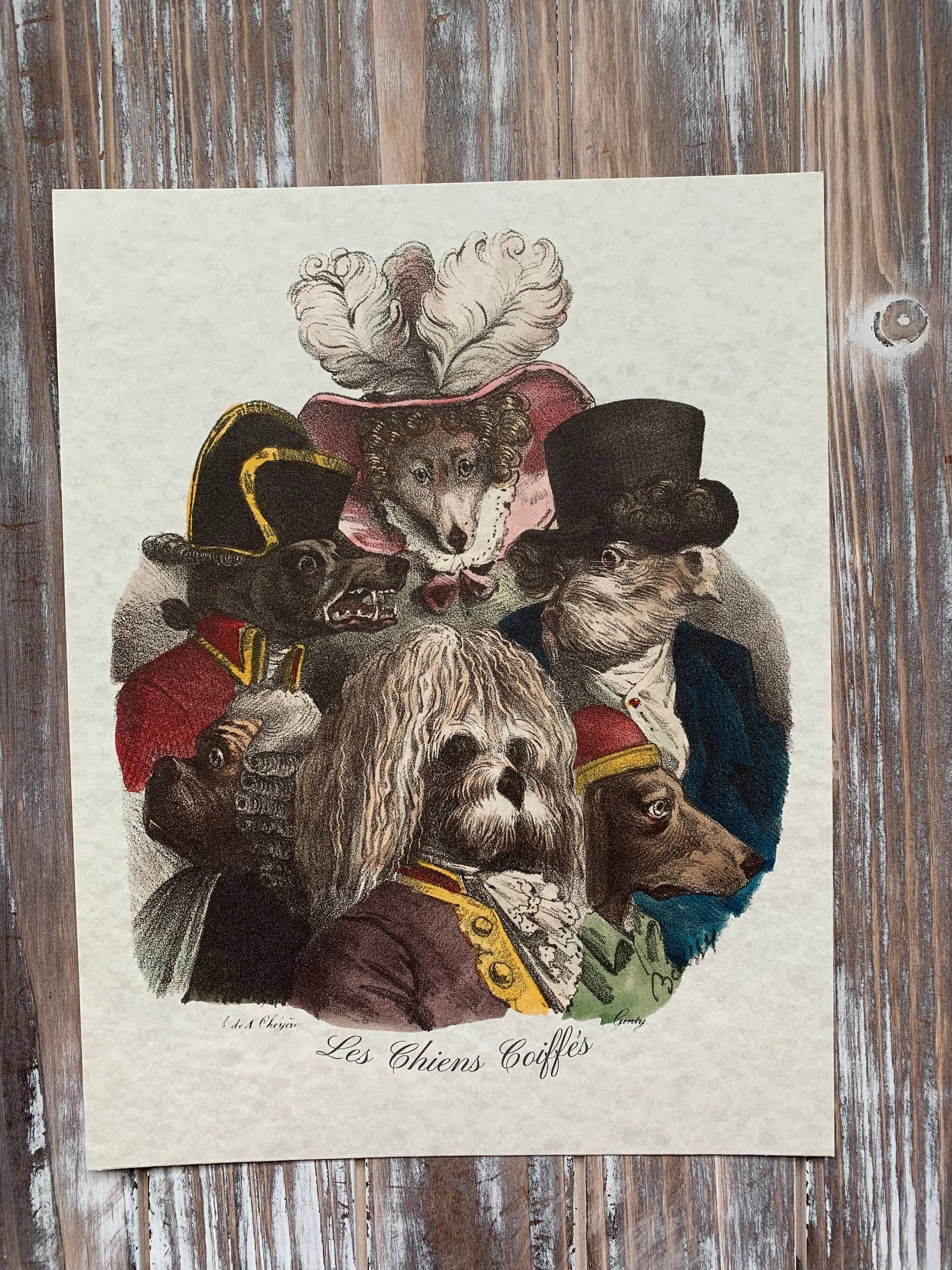 Magnifique Hearts – Großhandel Kunstdruck – Kunstdrucke, niedliche Haustiere, Vintage-Stil, Katzen und Hunde2