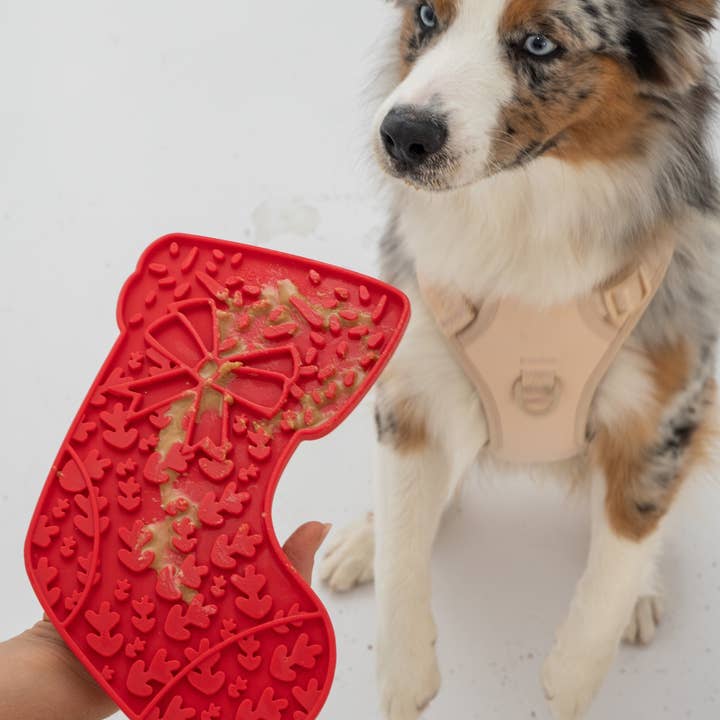 dexypaws - Wholesale Pet Food Mat - Dog - Stocking Enrichment Lick Mat with Silicone Spatula