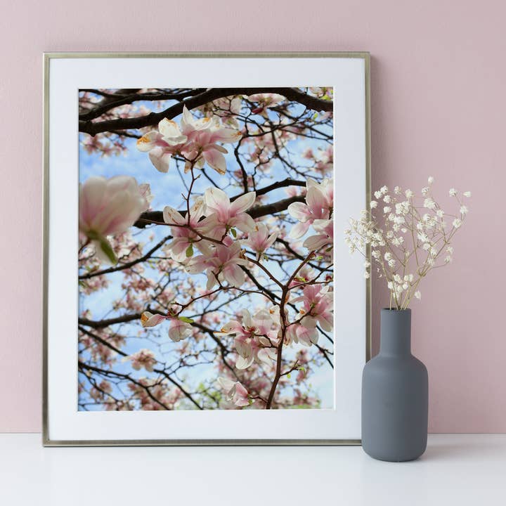 Magnolia Flower Art Print for wholesale by Veni Etiam Photography