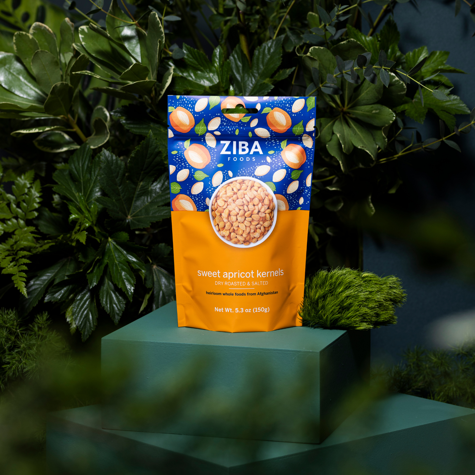 Ziba Foods – wholesale Nötter – Söta aprikosfrön (torrrostad och saltad) Vegan 1oz8