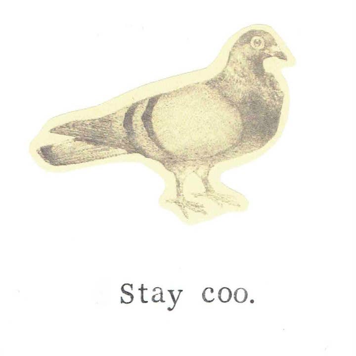 BlueSpecsStudio - Wholesale Birthday Card - Stay Coo Pigeon Card | Bird Pun Humor Nerdy Nature Funny Birthday Card