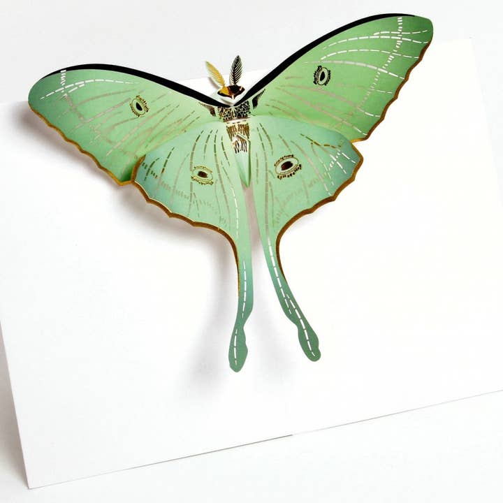 Tarjeta de lujo Popshots Studios UWP Luxe Pure Alchemy con diseño emergente 3D de polilla para venta al por mayor de Popshots Studios