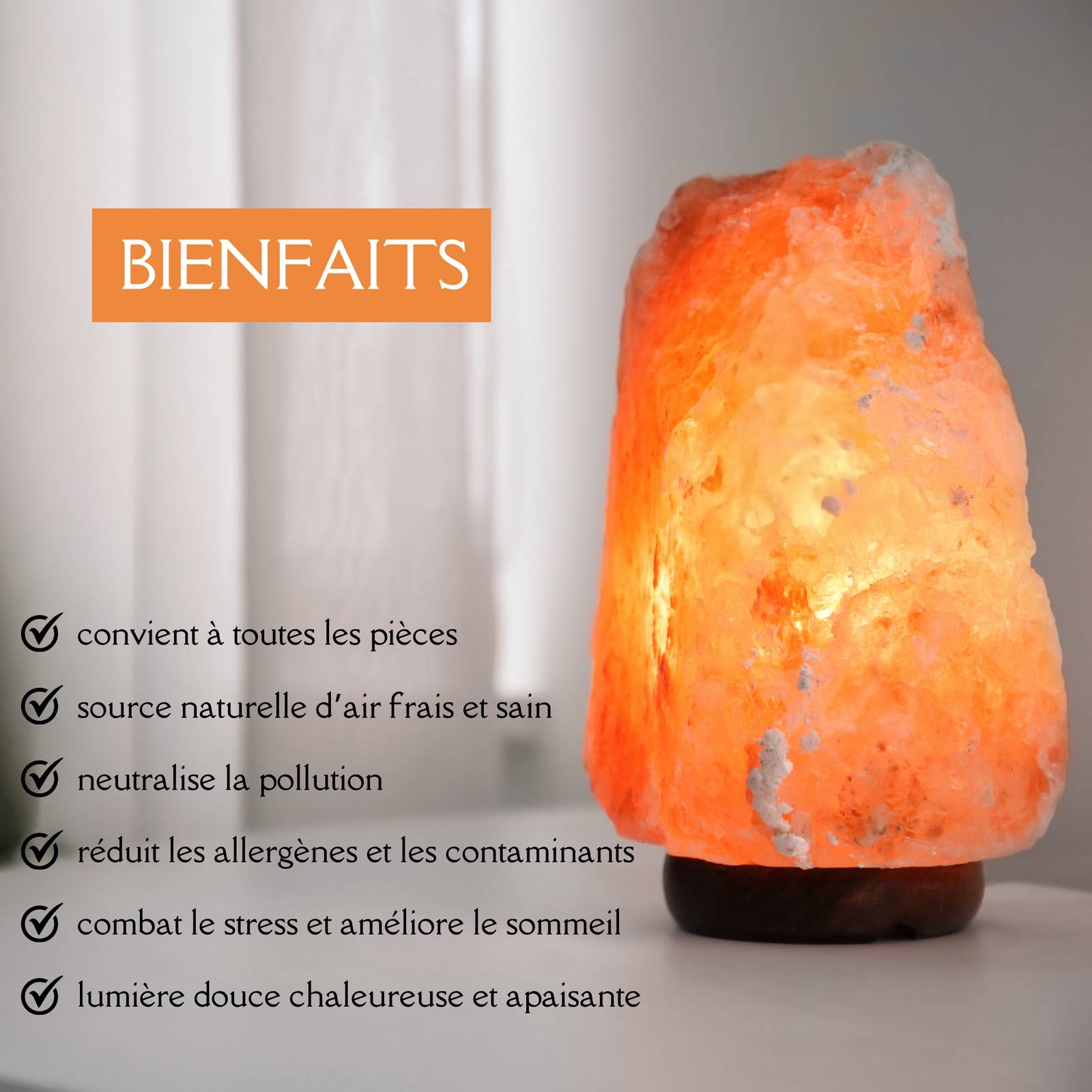 Zen'Arôme - Wholesale Salt Lamp - Himalayan Salt Lamp - 4 to 6 kg Hand Carved2