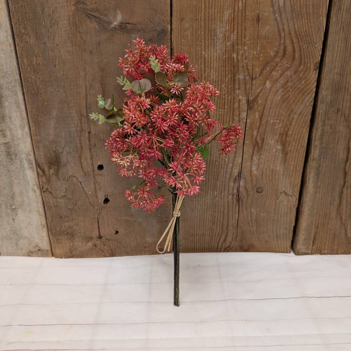 Korallen-Sedum-Bündel für den Großhandel von A.T. Imports