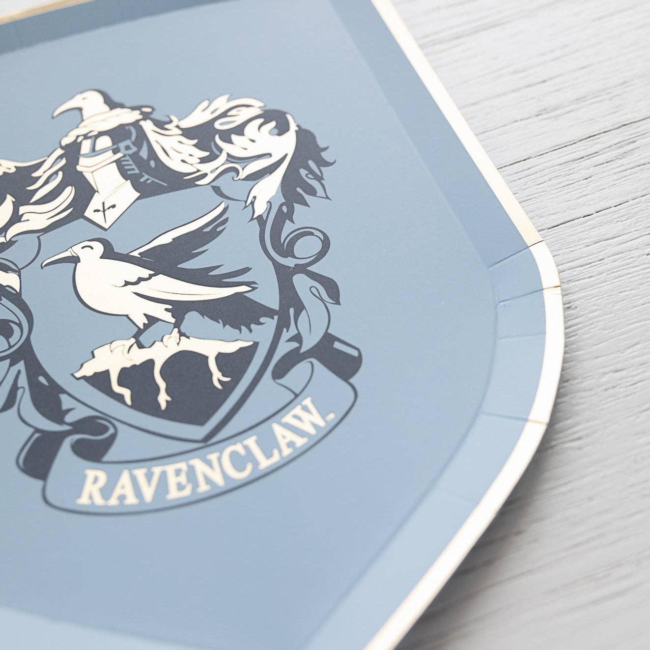 Bonjour Fête - Wholesale Disposable Plate - HARRY POTTER X BONJOUR FÊTE HOUSE PRIDE SMALL PLATES12