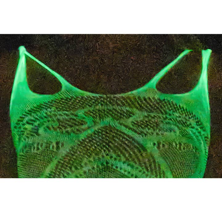 Sweetkama - Wholesale Lingerie Bodysuit - Women's - Glow in the Dark Sexy See Through Fishnet Bodystockings