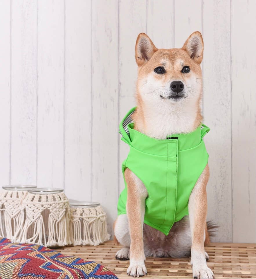 Hugsmart Products Inc – Großhandel Haustier-Regenmantel – Hund – HugSmart Pet - Regenmantel | Lizard5