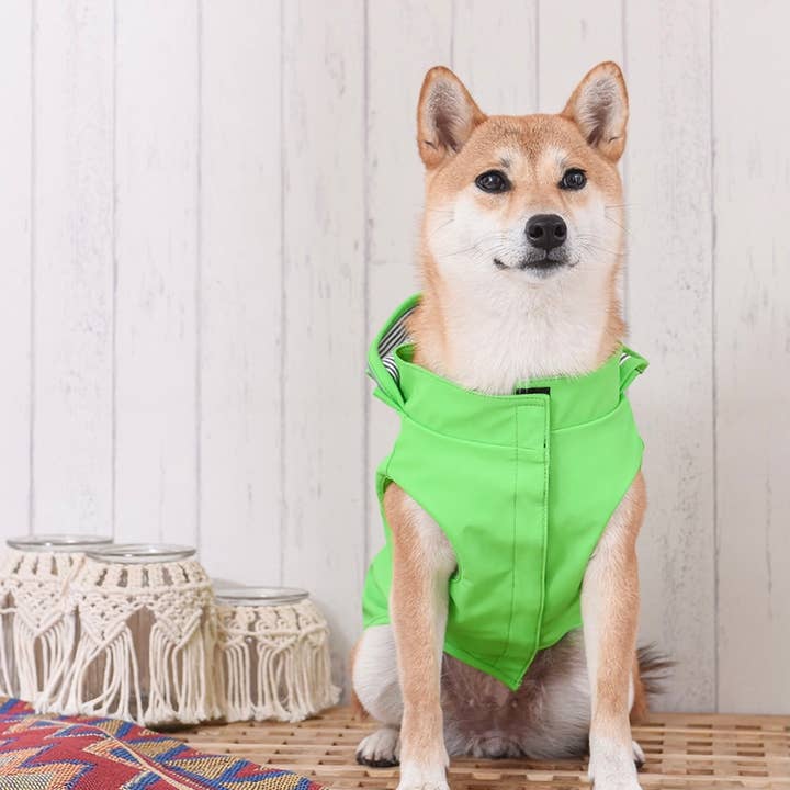 Hugsmart Products Inc – Großhandel Haustier-Regenmantel – Hund – HugSmart Pet - Regenmantel | Lizard5