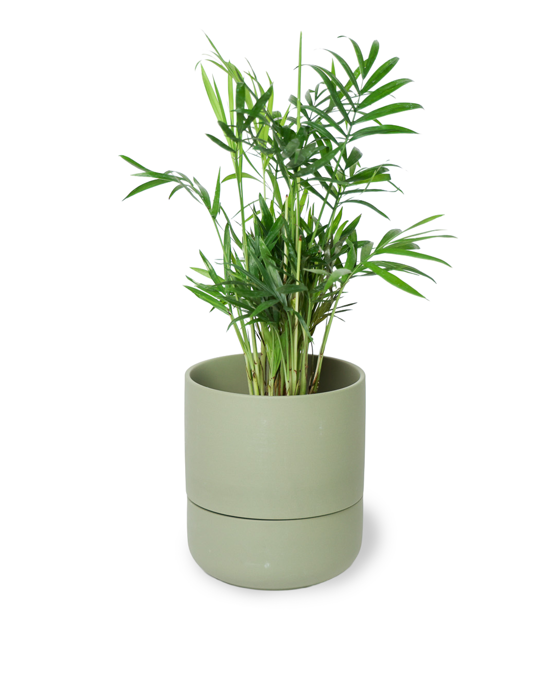 Chive - Vente Pot - Ryan Pots de Plantes d'Intérieur Auto-Arrosants23