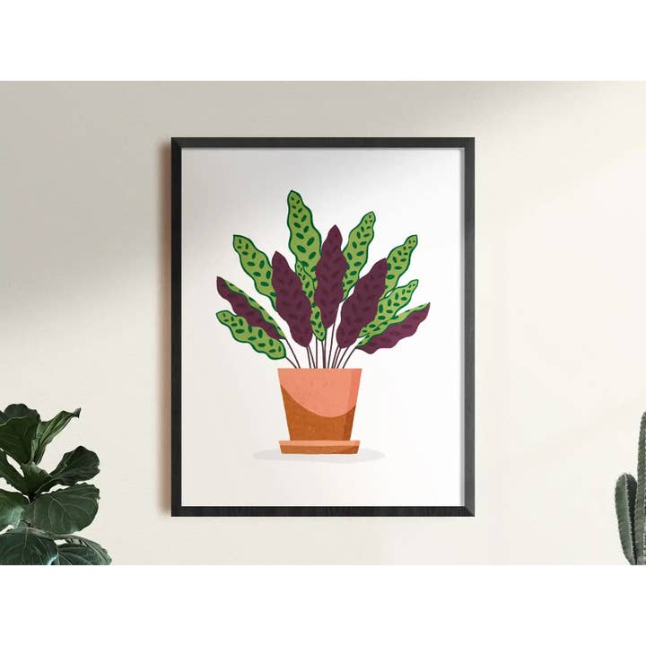Clare Lewis Illustration - Venta al por mayor Ilustración - Serpiente de cascabel de Calathea