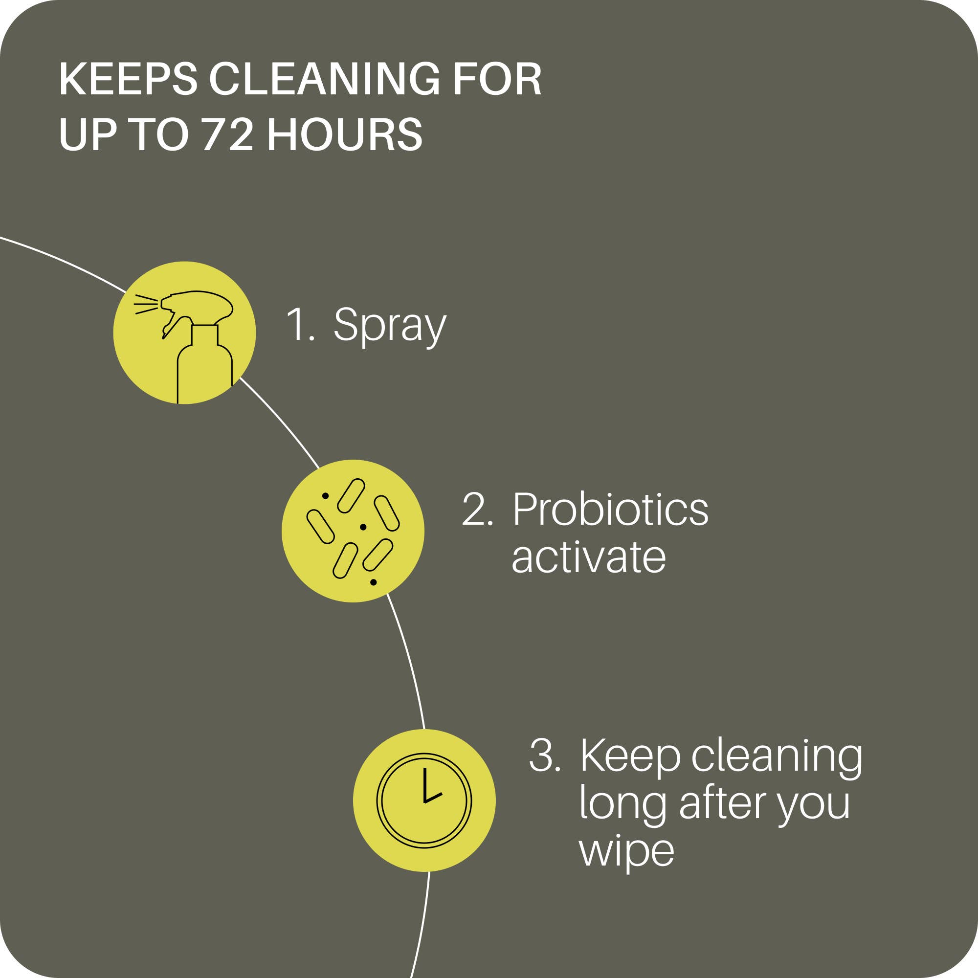 Everneat – wholesale Multi-surface cleaner – Probiotic Surface Cleaner infused with EO (Glass Bottle)2