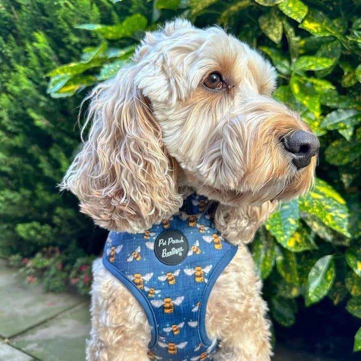 Pet Pooch Boutique - Wholesale Pet Harness - Dog - Blue Buzzy Bumble Bee Puppy Dog Harness