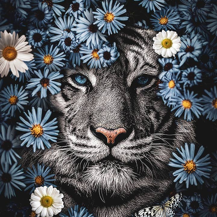 Lion Daisy for wholesale by Tigon Art