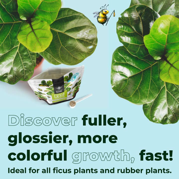 Bless Your Soil - Wholesale Fertilizer - Fiddle Leaf Treats®3