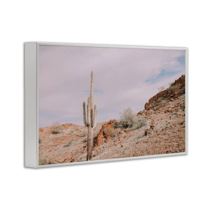 Stupell Industries - Wholesale Wall Decor - Kids & Baby - The Climb Desertscape Framed Art24