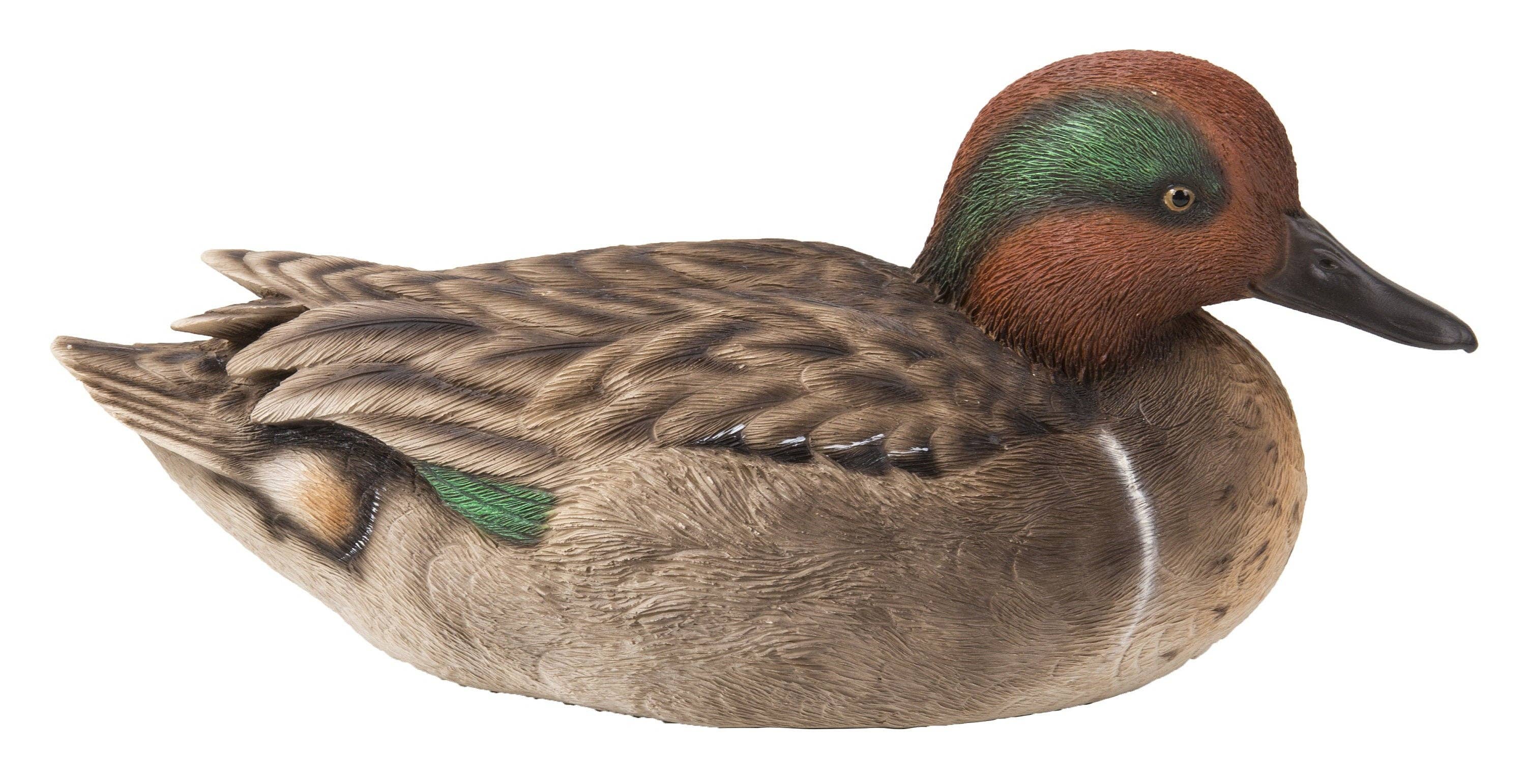 Hi-Line Gift Ltd. - Wholesale Decorative Figurine - Large Green Wing Mallard Decorative Figurine6