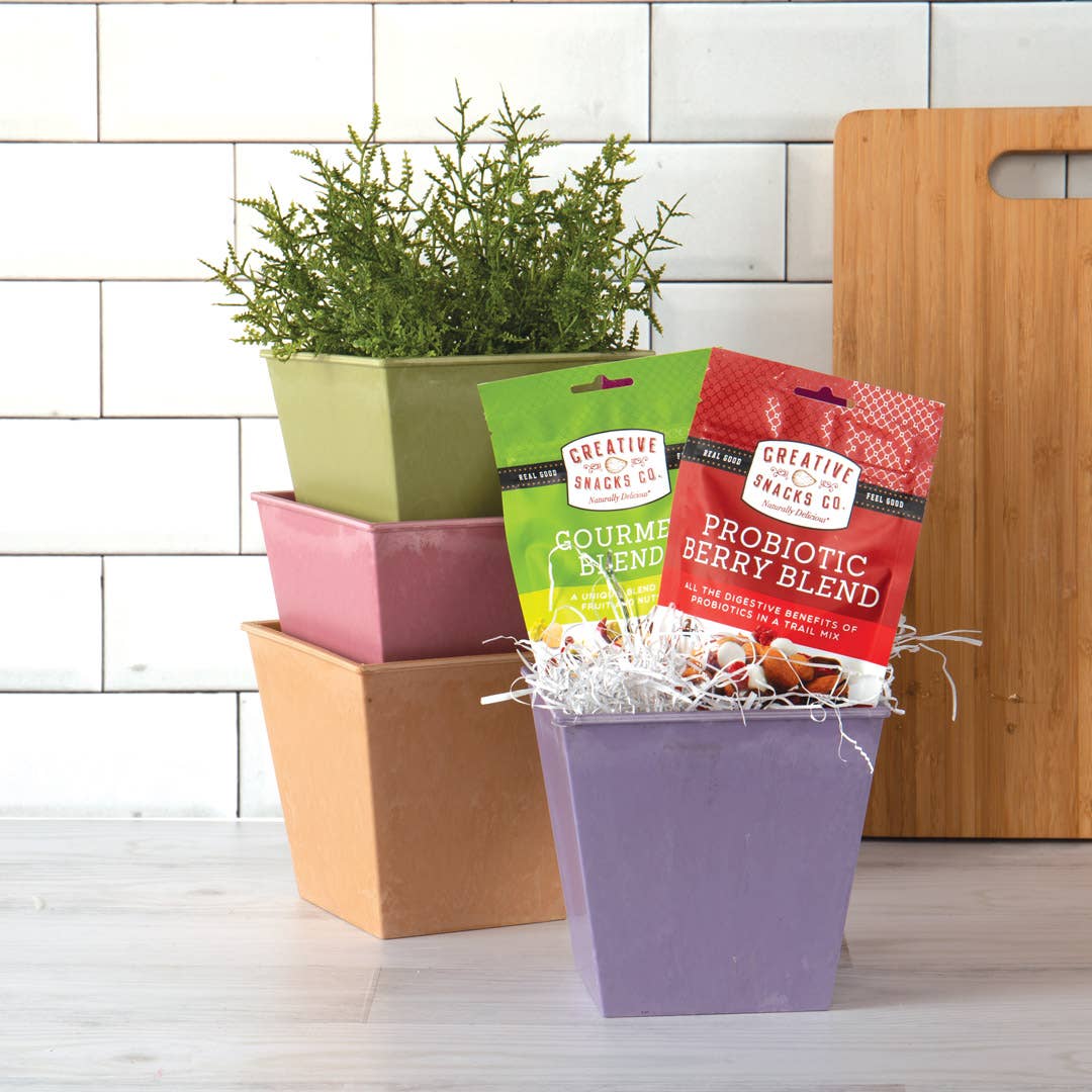 Willow Group - Wholesale Plant Pot - Square Poly Planters Asst/4 colors - plants or gifts4