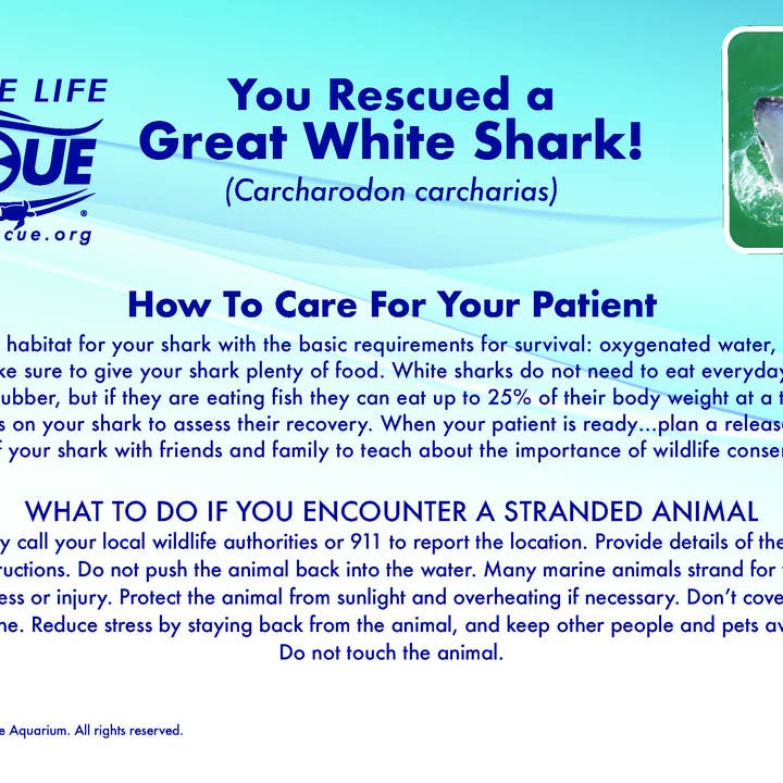 MARINE LIFE RESCUE PROJECT – Peluche - Crianças e bebés por atacado – Peluche Grande Tubarão Branco com Meta de Resgate3