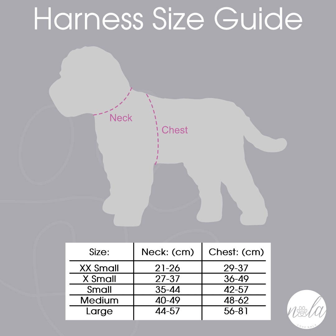 Love Nala - Vente Harnais – chien - Collection Nala Loves - Harnais Nala7