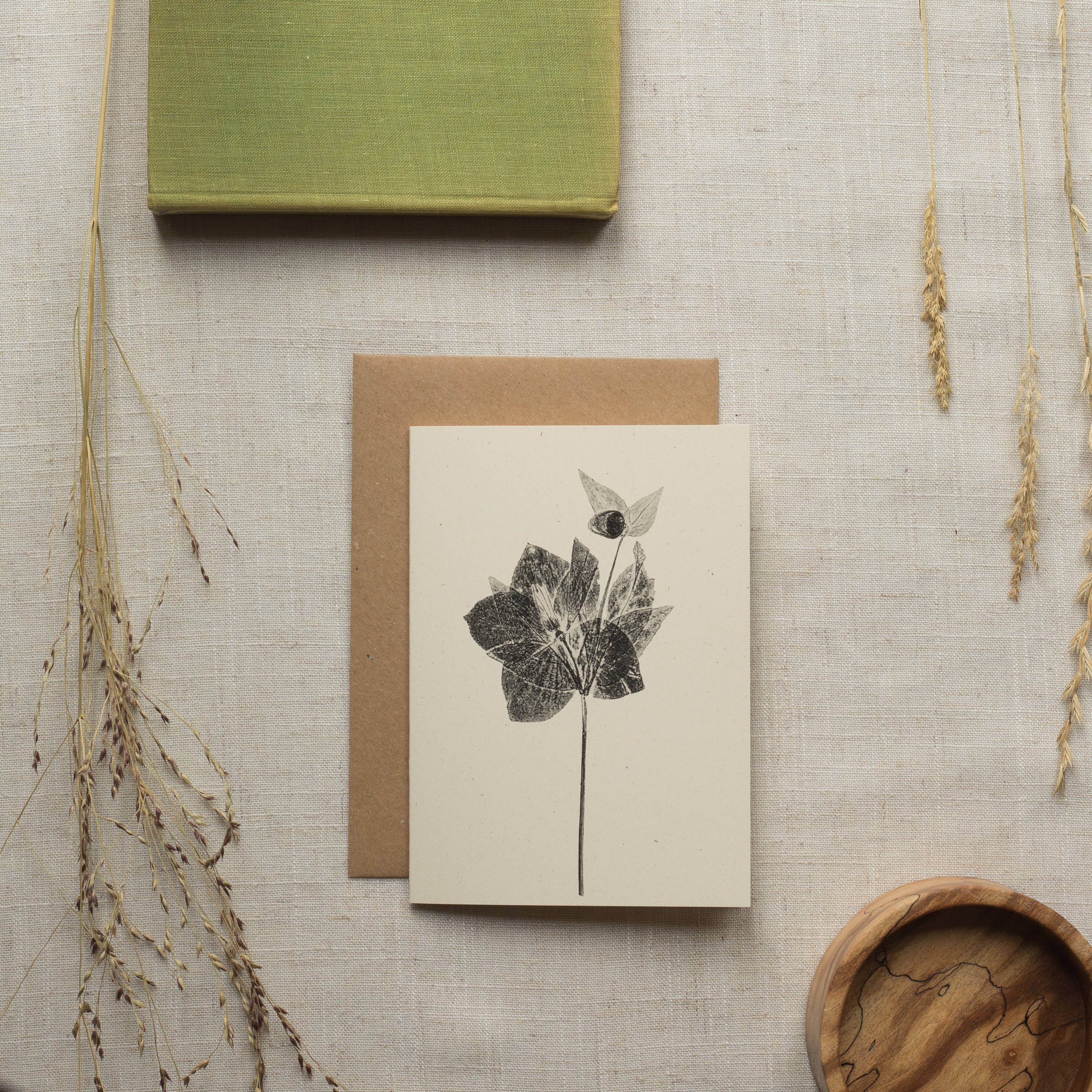 Alicia Breakspear - Wholesale Everyday Greeting Card - Hellebore Flower Greeting Card A6 Recycled Card 5