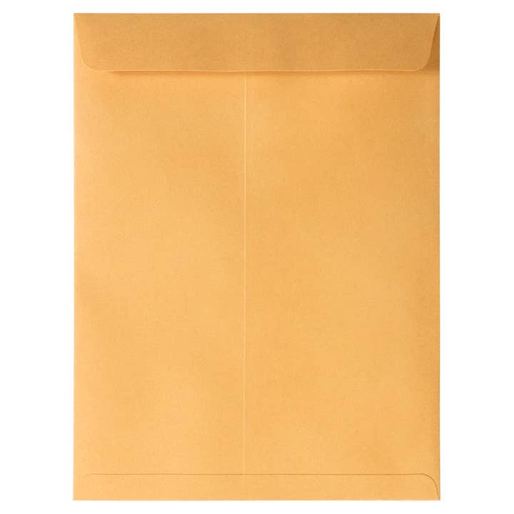 JAM PAPER - Wholesale Envelopes - 9x12 Brown Kraft Manila Envelopes, Peel & Seal, 100-Pack