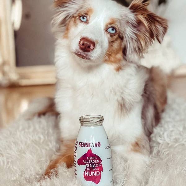 SmoothieDog - Vendita all'ingrosso Cibo - Cani - 
Smoothie per cani Sensitivo Natural Dog Snack senza zucchero0