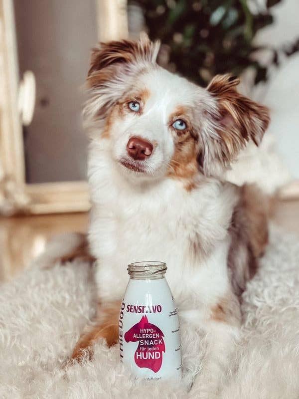 SmoothieDog Sensitivo Snack Naturale per Cani Senza Zuccheri per la vendita all'ingrosso da parte di SmoothieDog