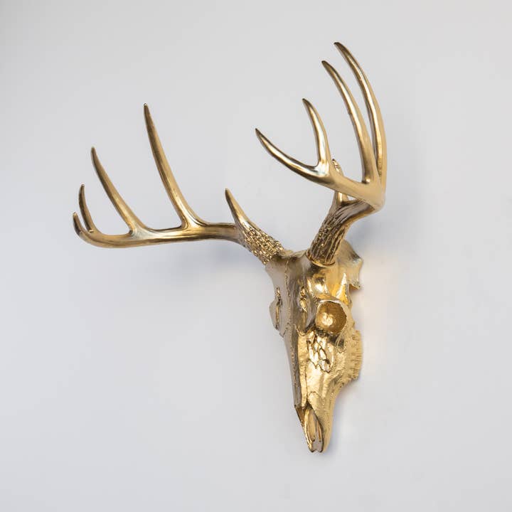 Near and Deer - Wholesale Wall Accent - Faux Mini Buck Skull Wall Mount6