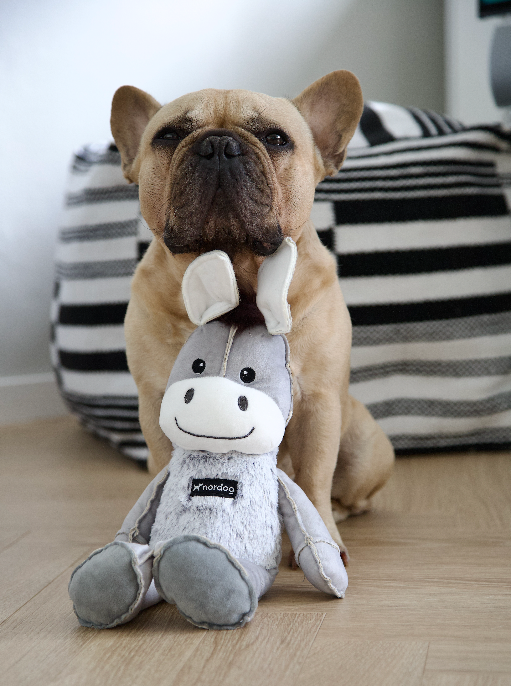 Nordog - Venta al por mayor Juguete de goma - Perros - Dix The Donkey - Peluche para perros Nordog6