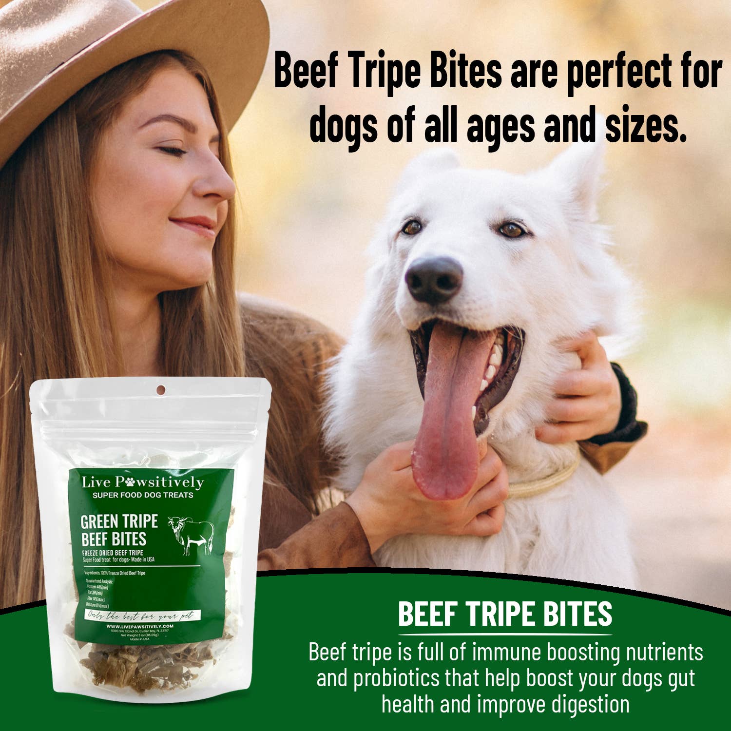 Live Pawsitive - Wholesale Pet Treats - Dog - Green Tripe Beef Bites (Freeze Dried Superfood for pets)2