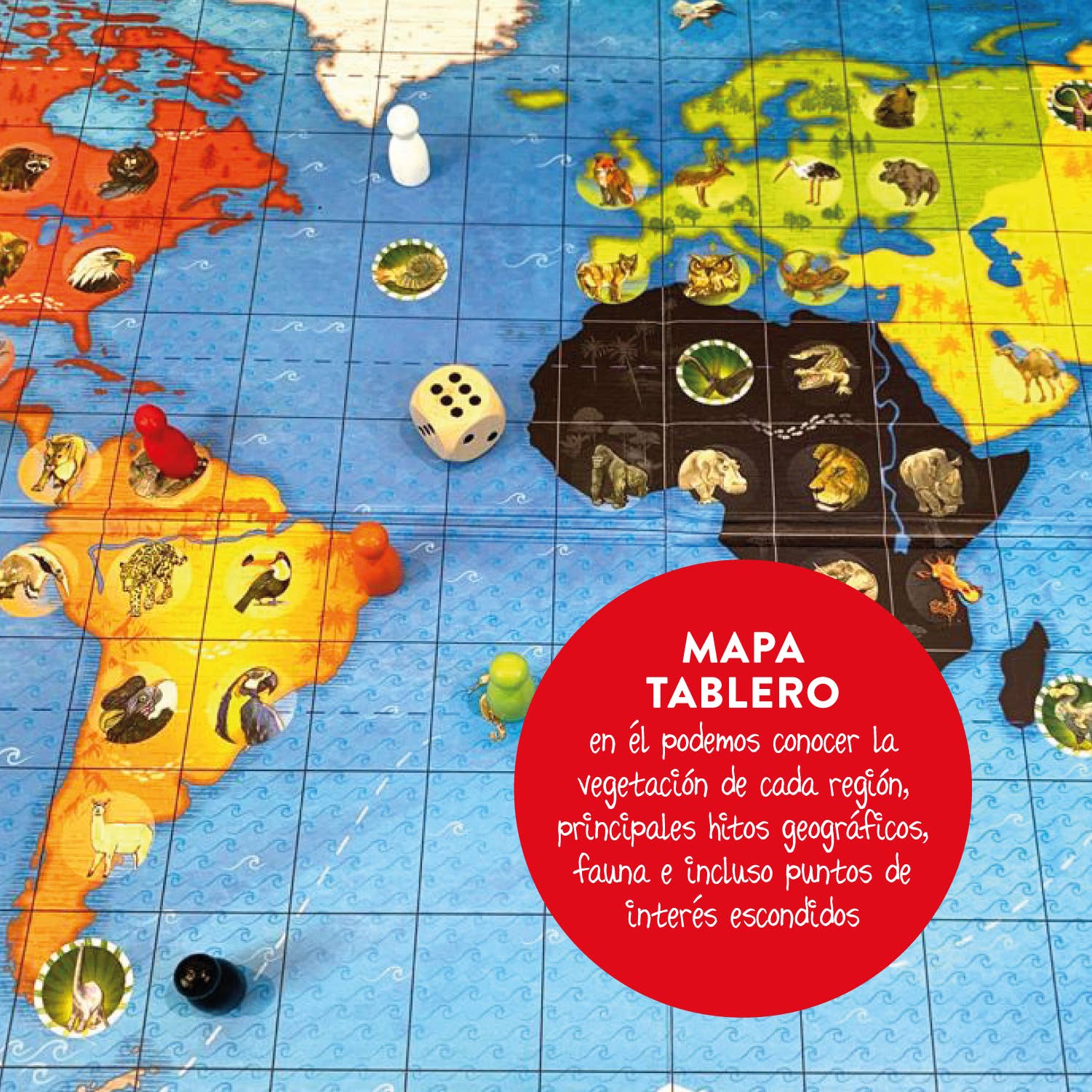 Juegaconmigo - Vente Jeux de société - Safari - Jeu de société stratégique sur les animaux du monde2