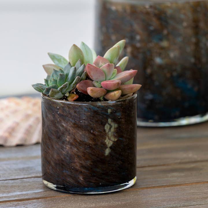 Park Hill Collection - Wholesale Decorative Jar - Promo Serena Glass Cylinder, Small2