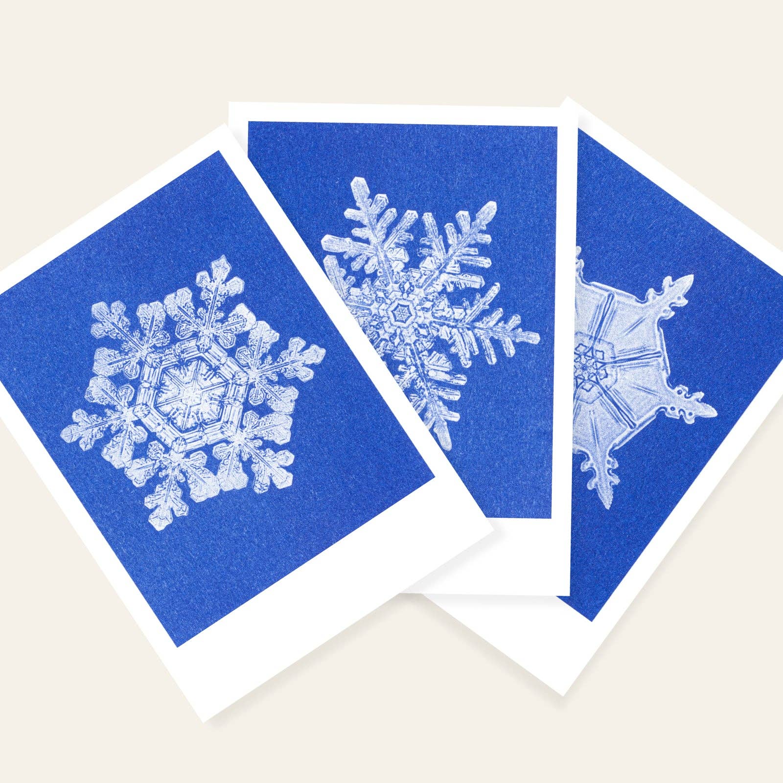 HERR & FRAU RIO - Wholesale Postcard - Neves postcard1